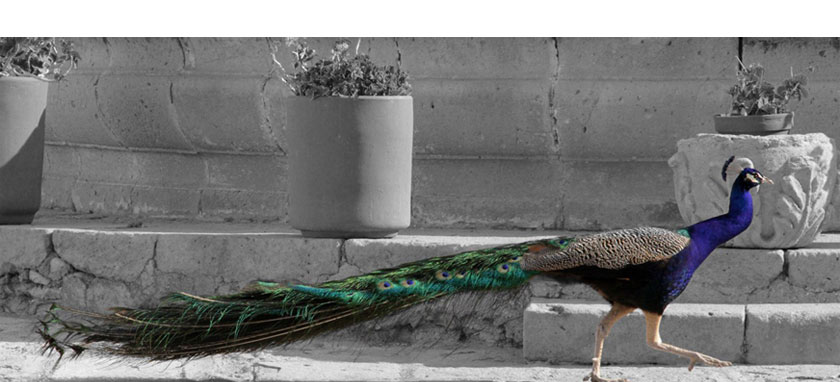 paisajes sensoriales