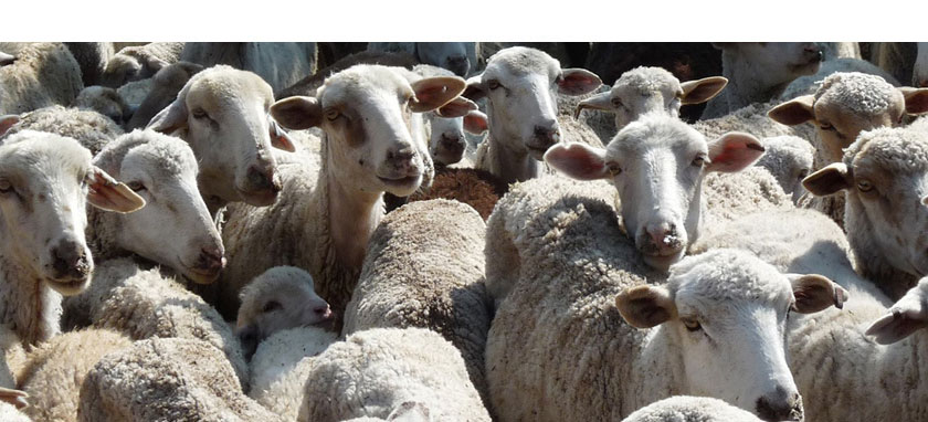 paisajes sensoriales