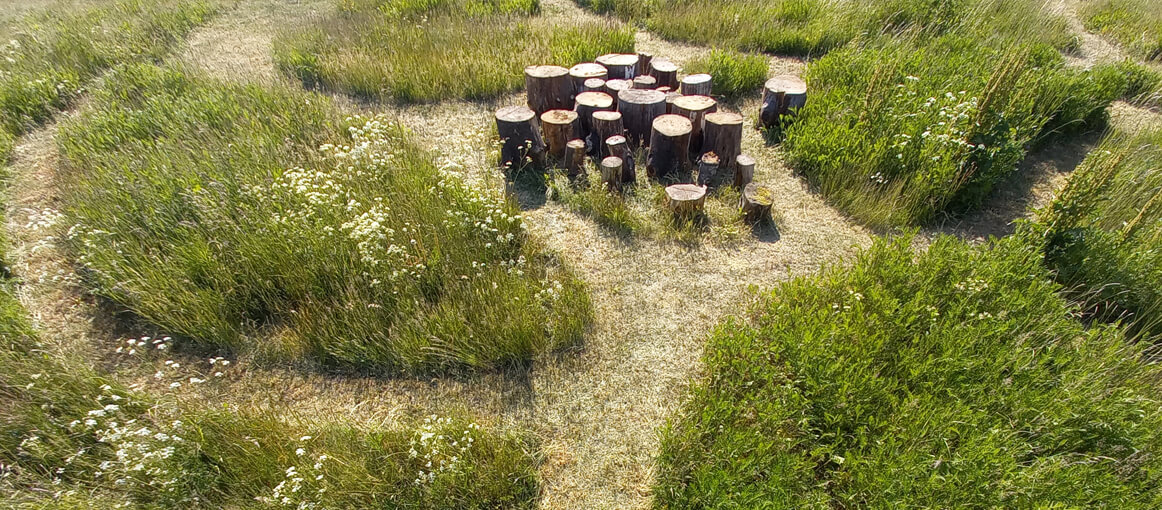 04 IvanJuarez_x-studio_Meadow Traces