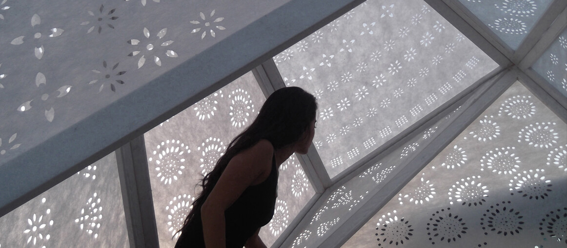 08 IvanJuarez_x-studio_Cactaceae