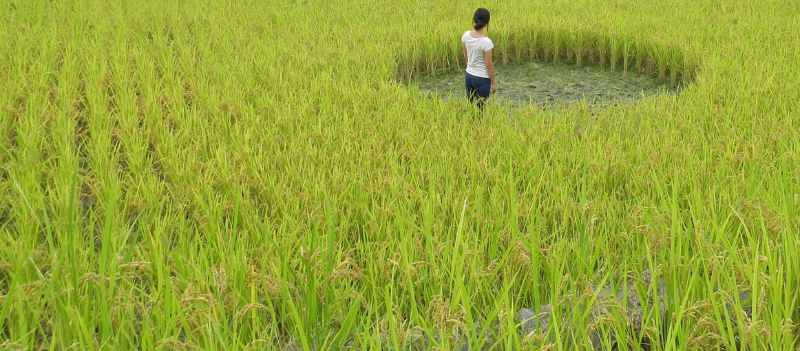 12 IvanJuarez_x-studio_inner_rice_field