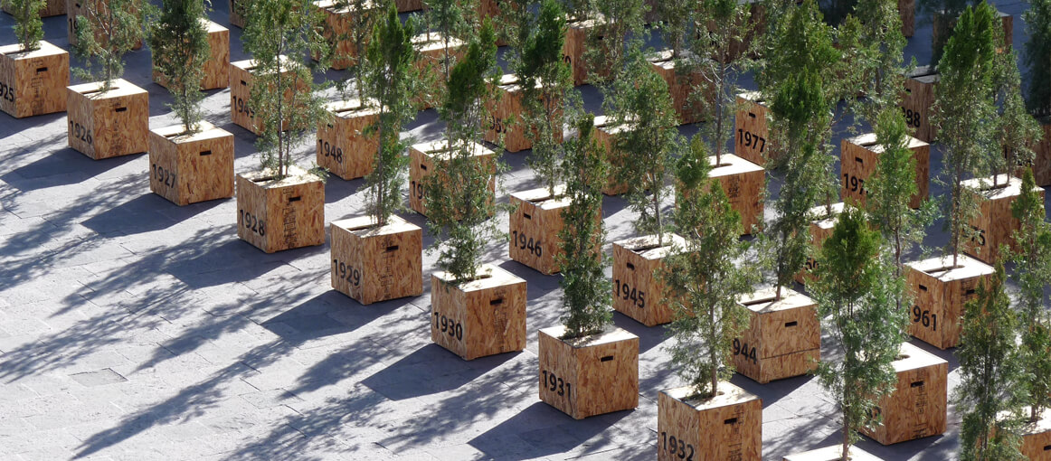 15 IvanJuarez_x-studio_Roots