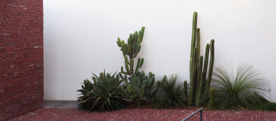 IvanJuarez_x-studio_Mexico_Association Architects